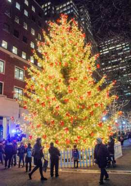 Let there be light! Holidaze sets in at Downtown’s office compound