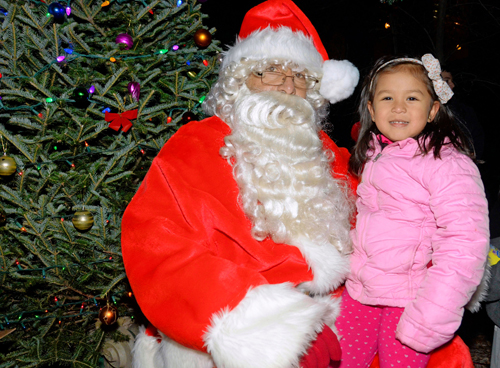 Lightbulb moment: Christmas trees brighten up Carroll Park, Columbia Street
