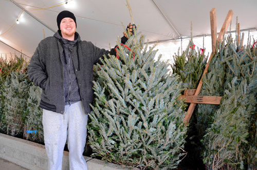 Fir trade: Your guide to Christmas trees and the people selling them