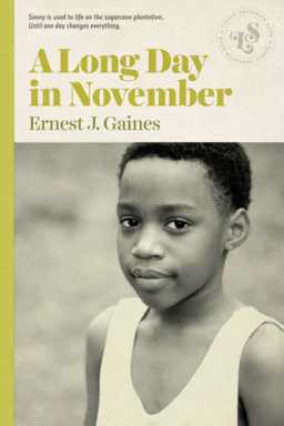 ‘A Long Day in November’ is a young adult book for everyone