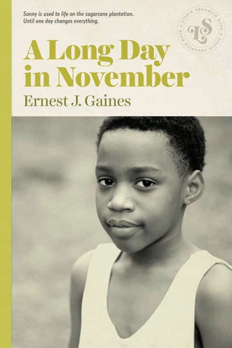 ‘A Long Day in November’ is a young adult book for everyone