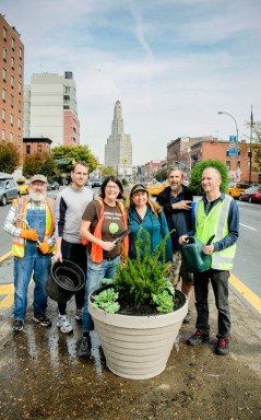 Green sweep! Volunteers clean and green Park Slope’s Fourth Avenue