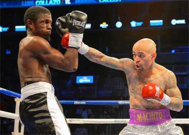 Brooklyn brawler tries for another title shot
