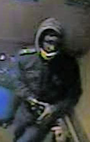 Purse snatcher targets Brighton Beach seniors