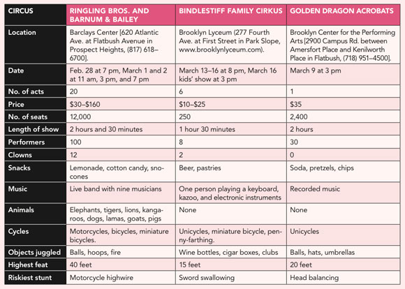 Circus smackdown: A tale of the tape