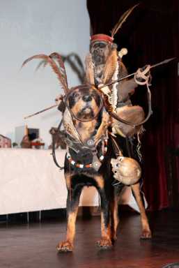 Show and smell: Freaky corpse contest brings stuffed animals and skeletons to Gowanus