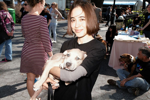 Bark in Carroll Park! Pet adoption frenzy in Carroll Gardens