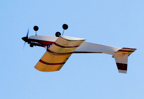 Little wing: Remote-control plane club holding miniature stunt show