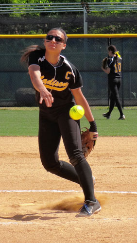 2014 All-Brooklyn Softball Honors