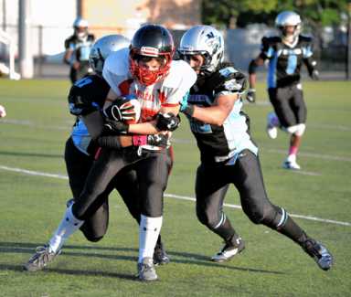 Sharks blitz Montreal