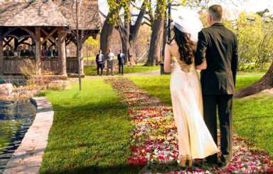 Shakespeare in the park shows around Brooklyn