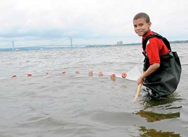 Total fluke: Mystery fish found near Coney Island Creek