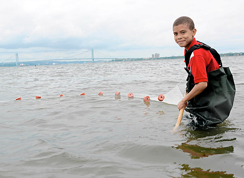 Total fluke: Mystery fish found near Coney Island Creek