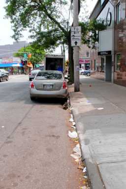 Cleaning up Sheepshead Bay