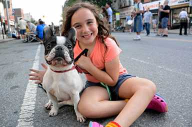 Fidos outnumber fi-don’ts at Fifth Avenue canine-fashion show