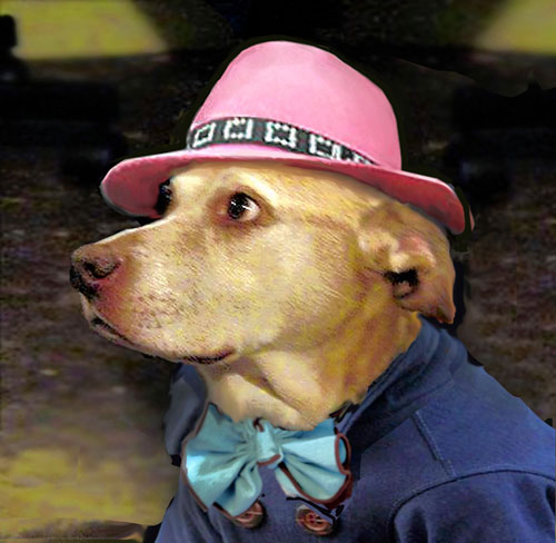 Park Slope’s next top dog model