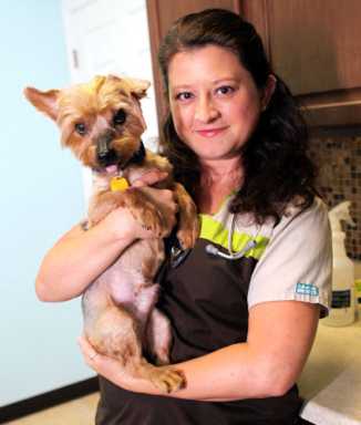 Locals rally to save sick, abandoned dog