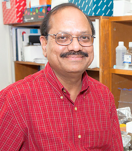 A huzza ‘Distinguished Professor’ M.Mahmood Hussain