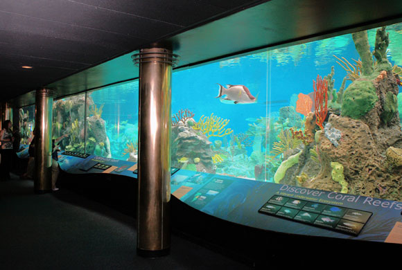 Weekend power outage at Coney Island aquarium remains unexplained