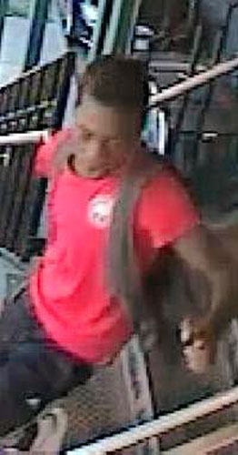 Cops seek Coney phone snatcher