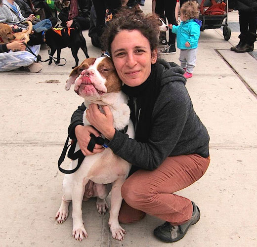 Puppy love! Animal rescue bash to feature pit bull kissing booth