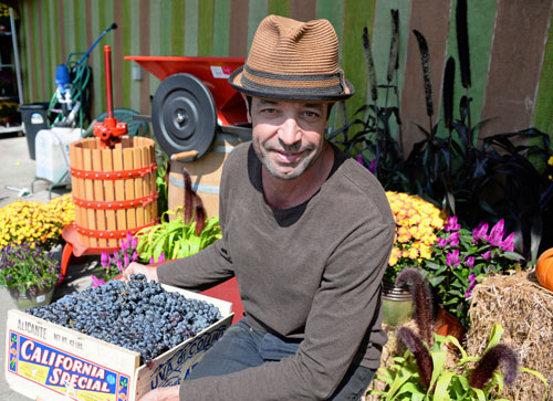Crush hour! Canarsie garden store hosts grape-stomping contest