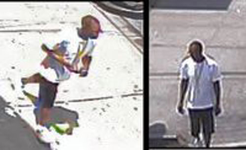 Police seek bus stop brute
