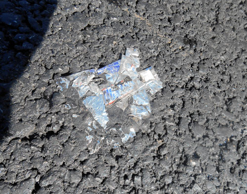 In Sheepshead Bay, the streets are paved with garbage