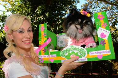 Costumed dogs parade at Narrows Botanical Garden’s fall festival