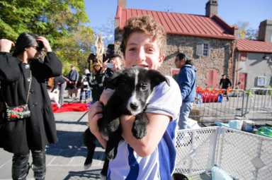 Homeward bound: Slopers show puppies love