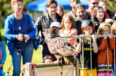 Prospect Park’s got talon: Raptor Fest touches down in Brooklyn’s backyard