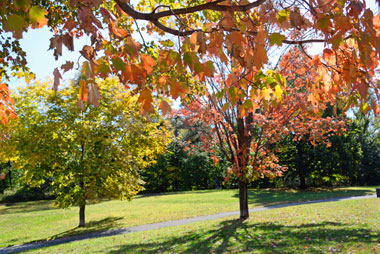 It’s the time of the season for walking
