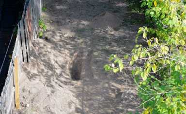 Buried bones: NYPD unearths body in Crown Heights yard