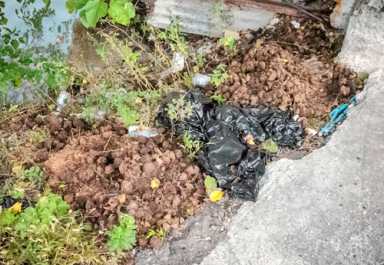 This is horse—-! Scofflaw dumps manure beside Gowanus Canal