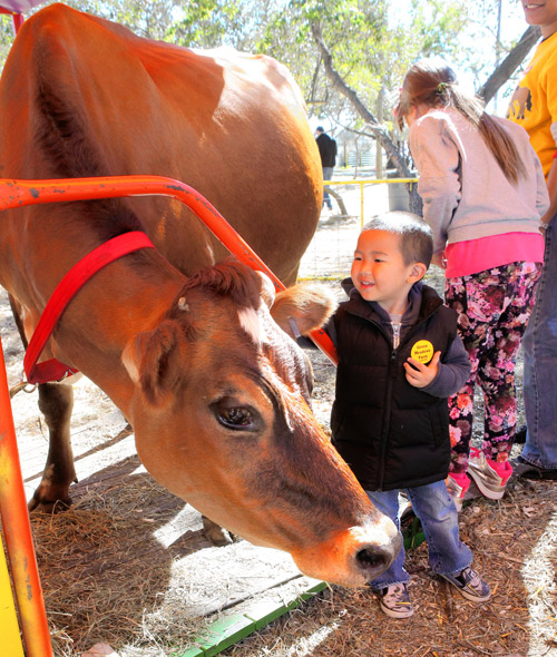 Down on the farm at Aviator