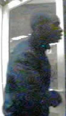 Cops: Help find robbers