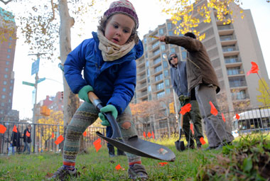 Flower power Downtown: Do-gooders bury bulbs by courts