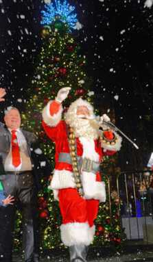 High flying tree lighting