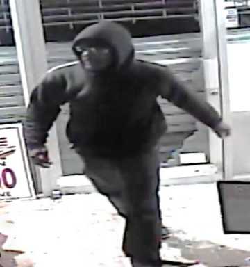 Furry heist in Midwood