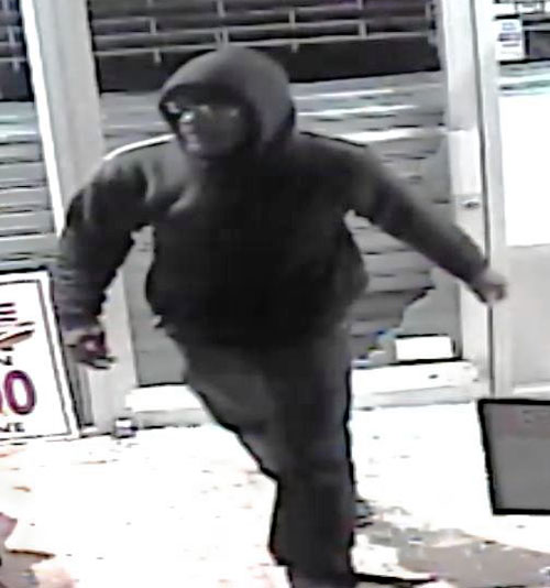 Furry heist in Midwood