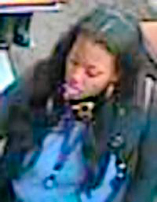 Cops after Bay Ridge bag thief