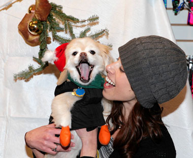 Yappy holidays: Fort Greene pet store hosts canine Christmas party