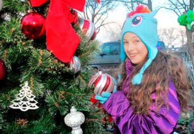 Touching tree lighting in Marine Park