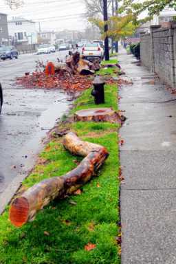 Parks policy leaves residents stumped