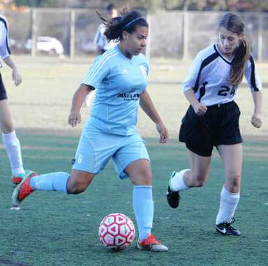 2014 All-Brooklyn Girls’ Soccer Honors