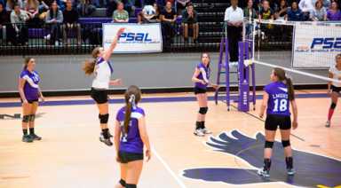 Goldstein wins second girls’ volleyball title in four years