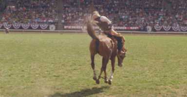 Ditmas Park bros and Sufjan Stevens collaborate on rodeo film