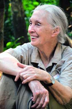 Primate scientist swings into BAM