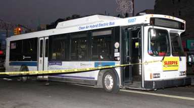 Pedestrian hit by bus in Sheepshead Bay