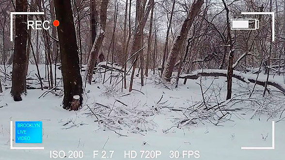 Bigfoot’s backyard? ‘Sasquatch’ sighted in Prospect Park
